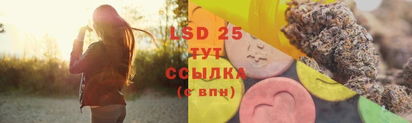 прущие грибы Киреевск