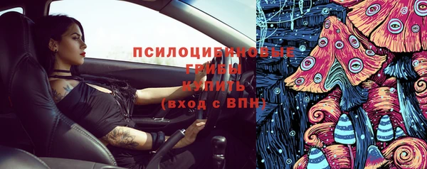 прущие грибы Киреевск