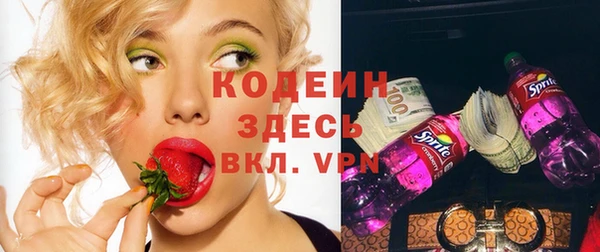мдпв Кизел