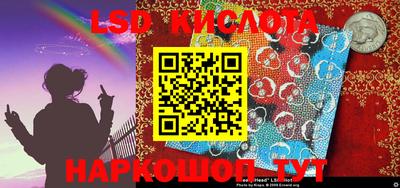 кокс Гатчина