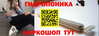 кокс Гатчина