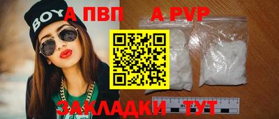 кокс Гатчина