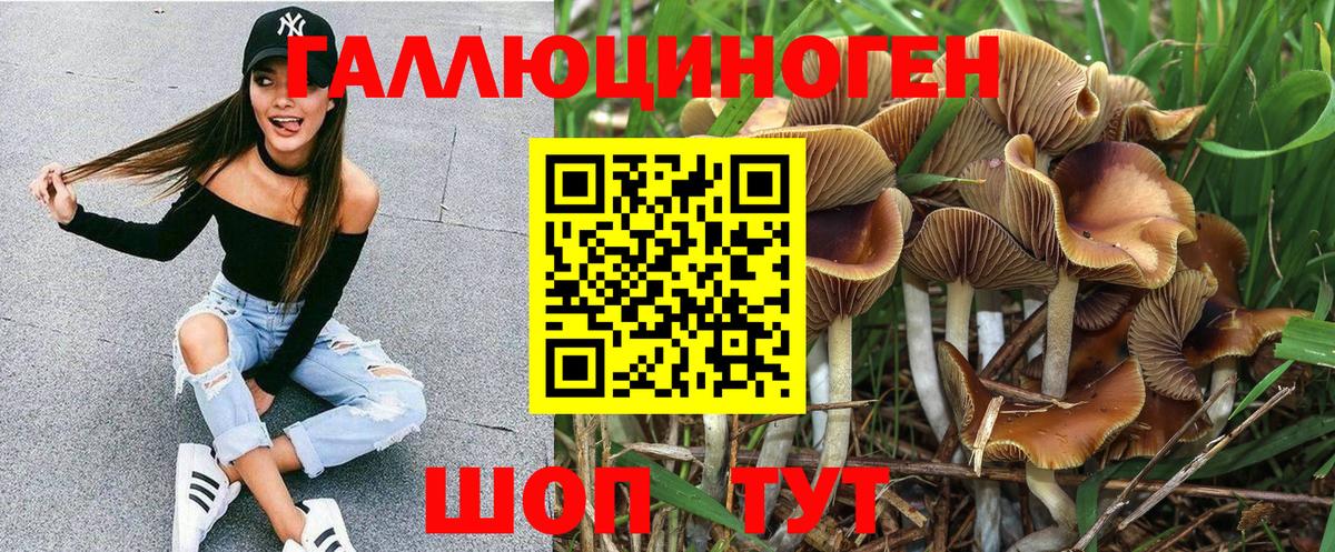 Серпухов  даркнет сайт  Вход с VPN  Галлюциногенные грибы Psilocybine cubensis 